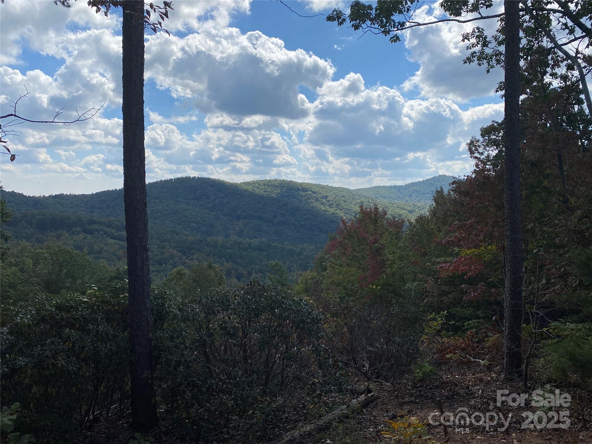 Lot at 61 Scenic Vista Drive, Nebo, photo 7 of 24