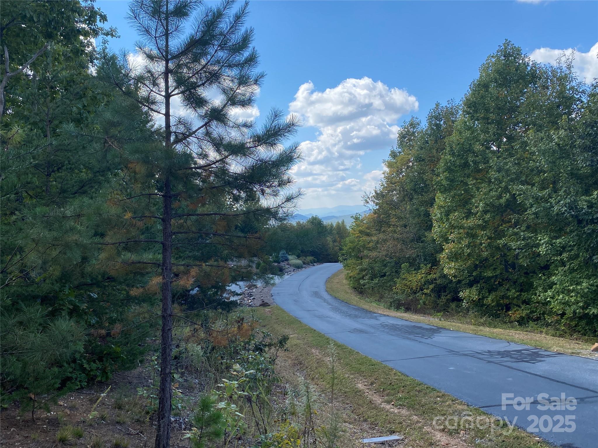 Lot at 61 Scenic Vista Drive, Nebo, photo 8 of 24