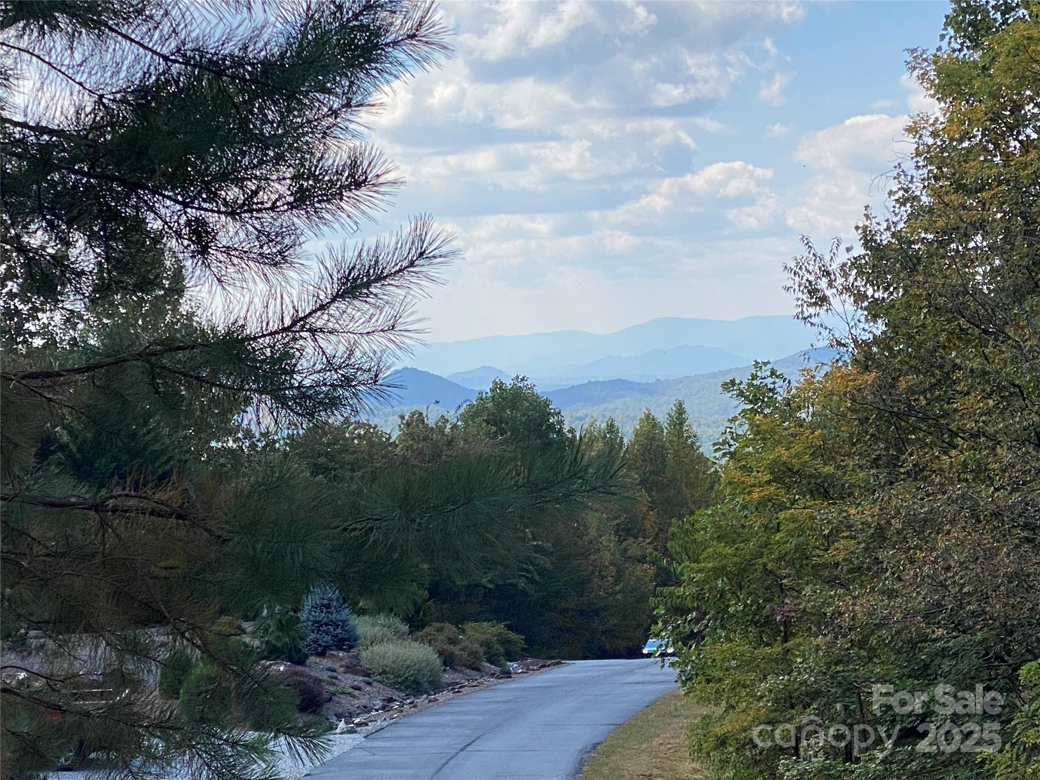 Lot at 61 Scenic Vista Drive, Nebo, photo 9 of 24
