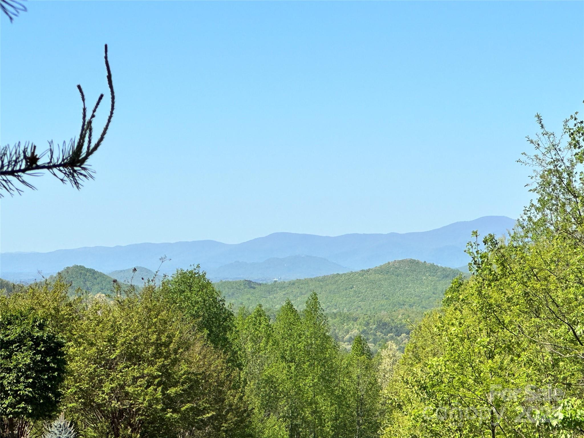 SW Views to the side of property - 61 Scenic Vista Drive, Nebo