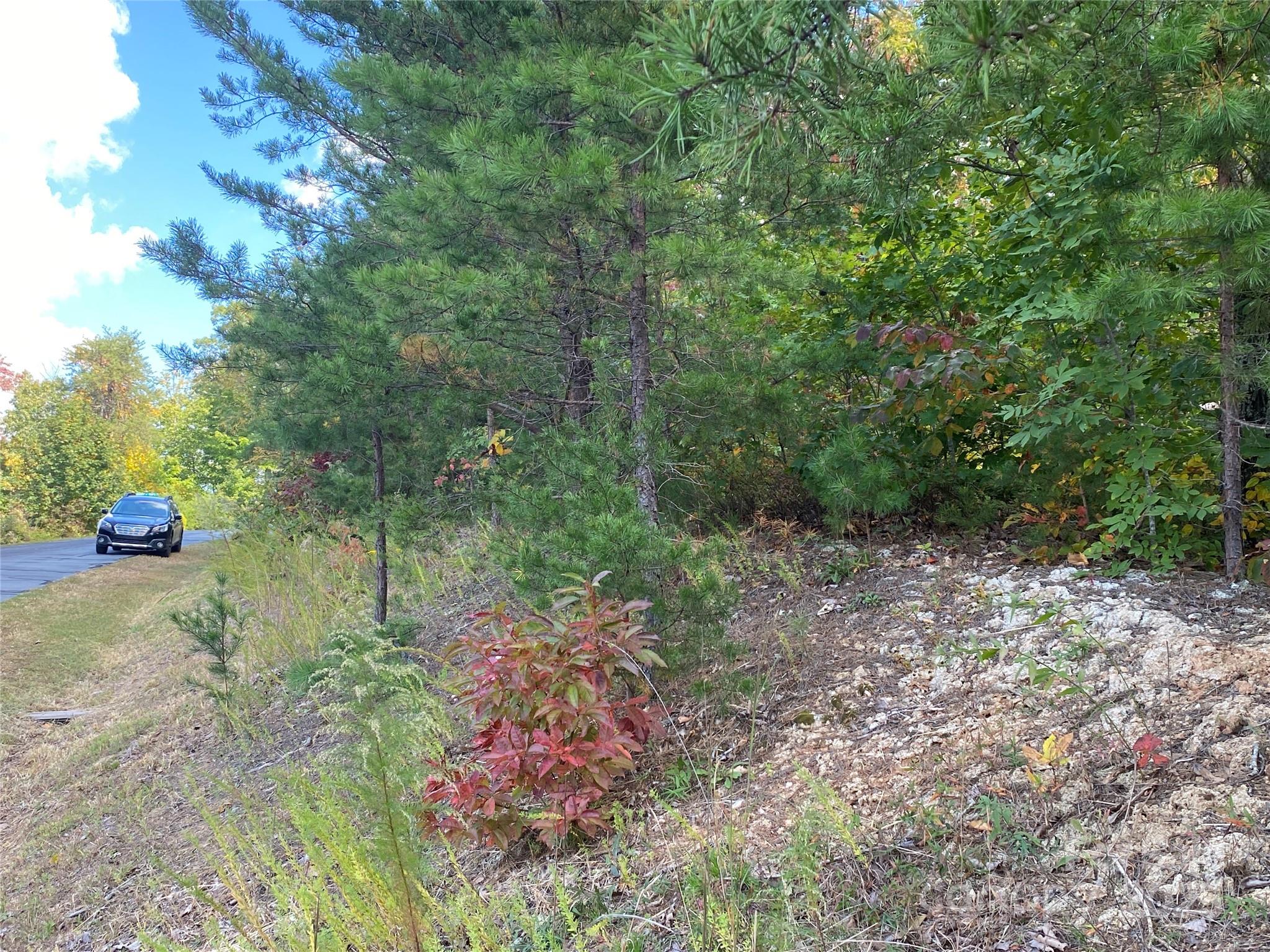 Lot at 61 Scenic Vista Drive, Nebo, photo 11 of 24
