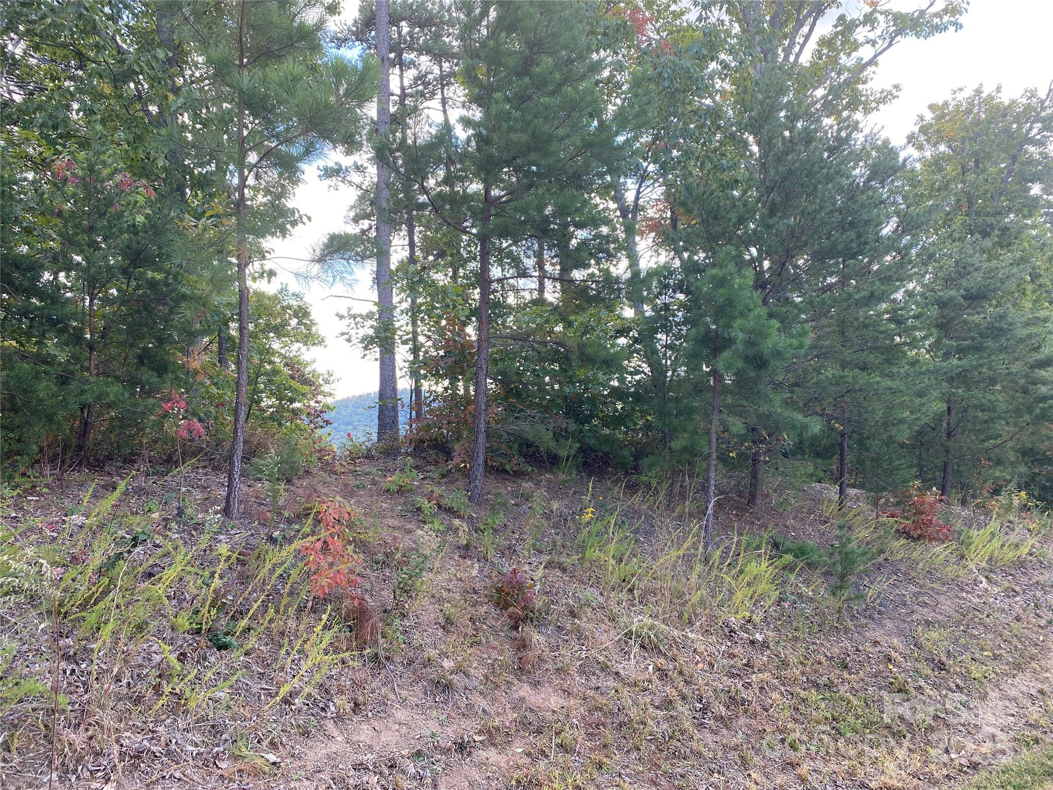 Lot at 61 Scenic Vista Drive, Nebo, photo 12 of 24