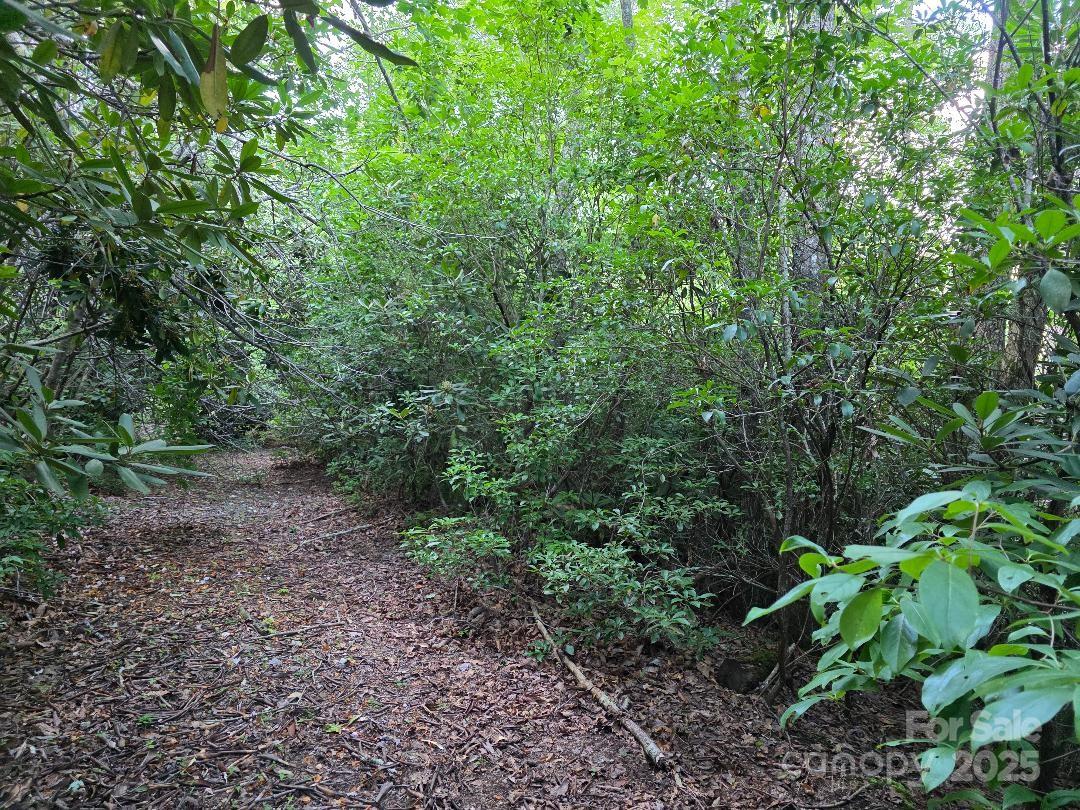 LOT 2 Pine Ridge Road