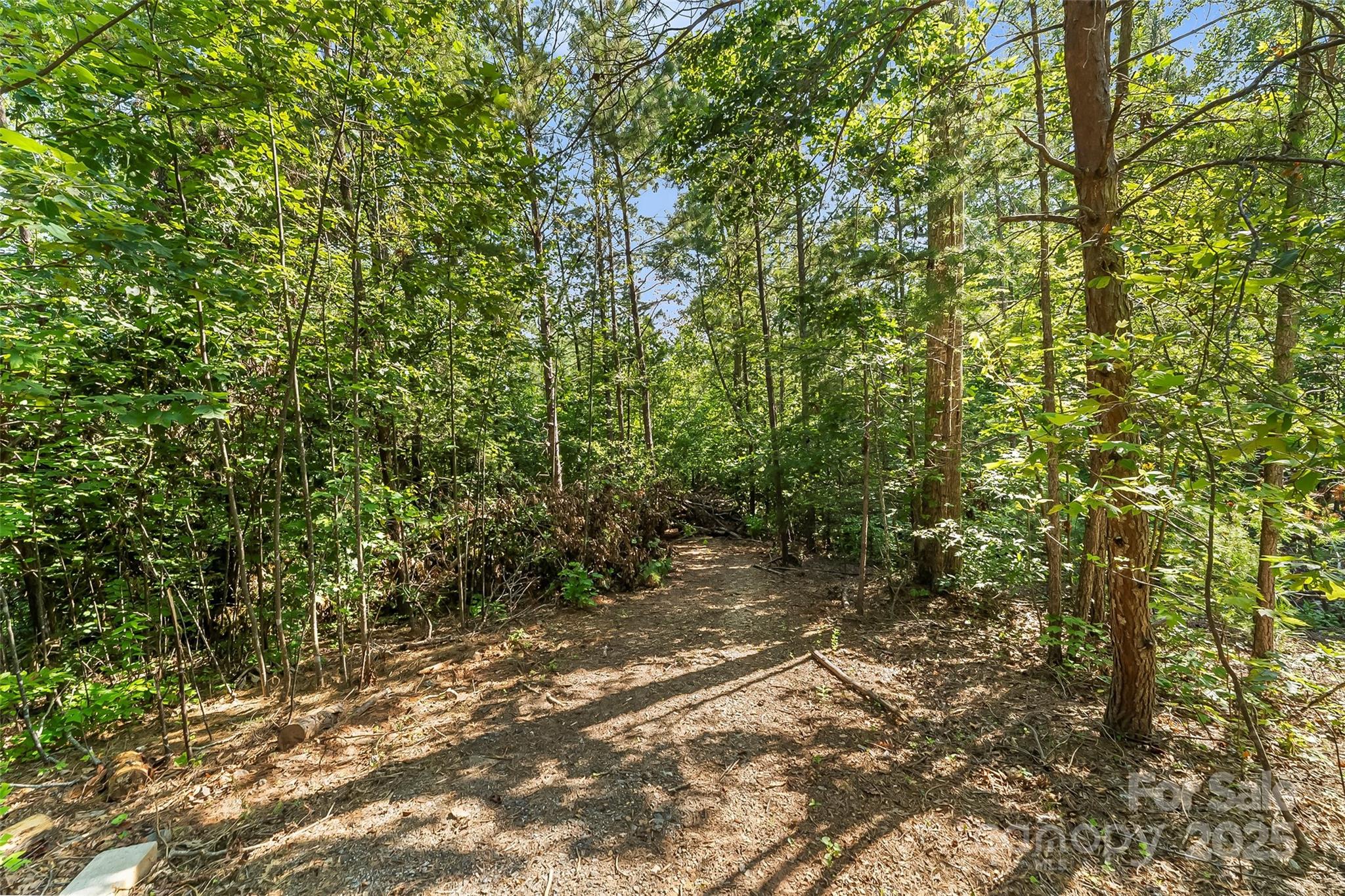 Lot at V/L Horizon Drive, Nebo, photo 5 of 17