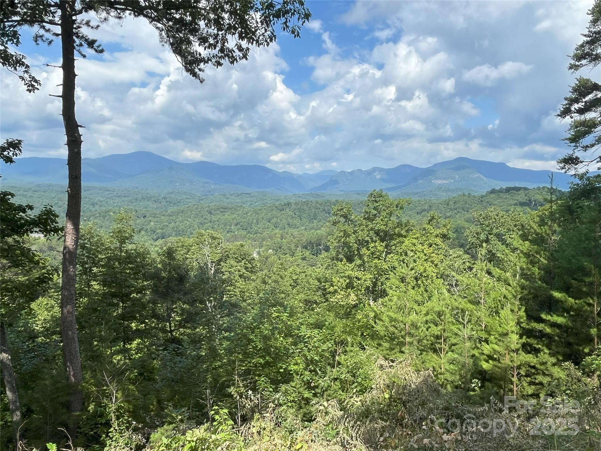 00 Bills Mountain Trail