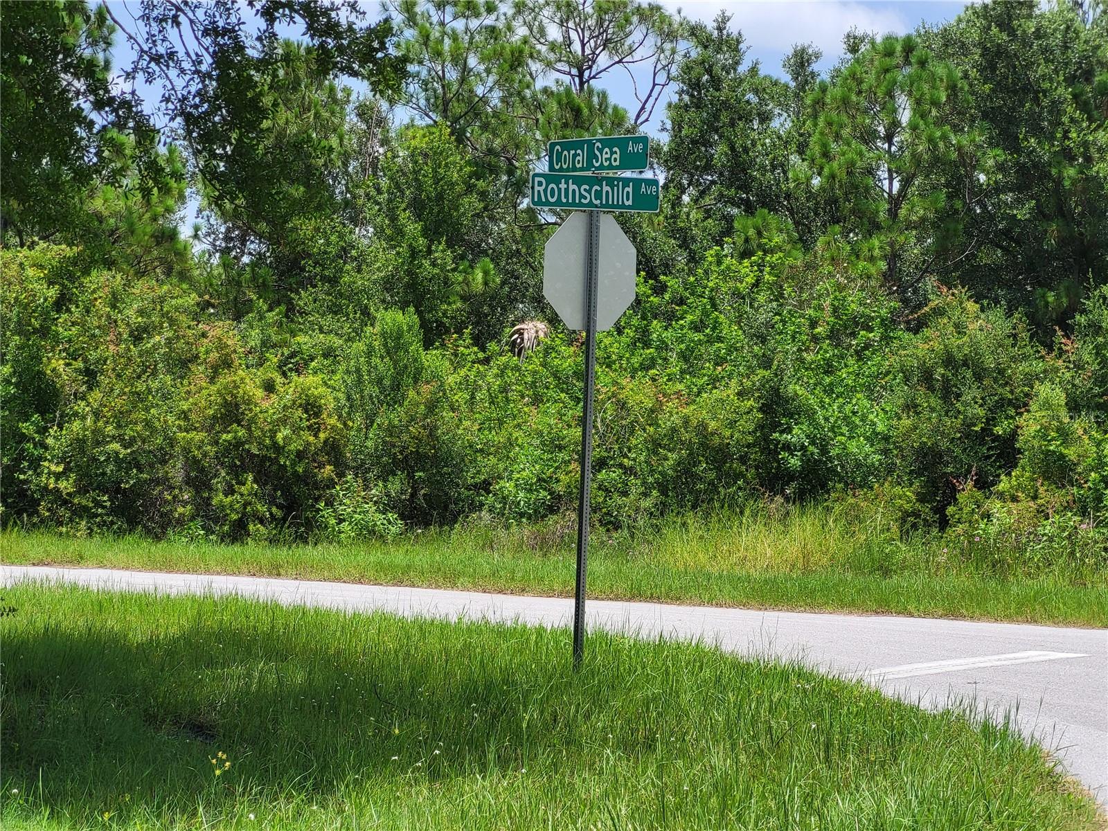 Land at 14471 CORAL SEA AVE, PORT CHARLOTTE, photo 2 of 12