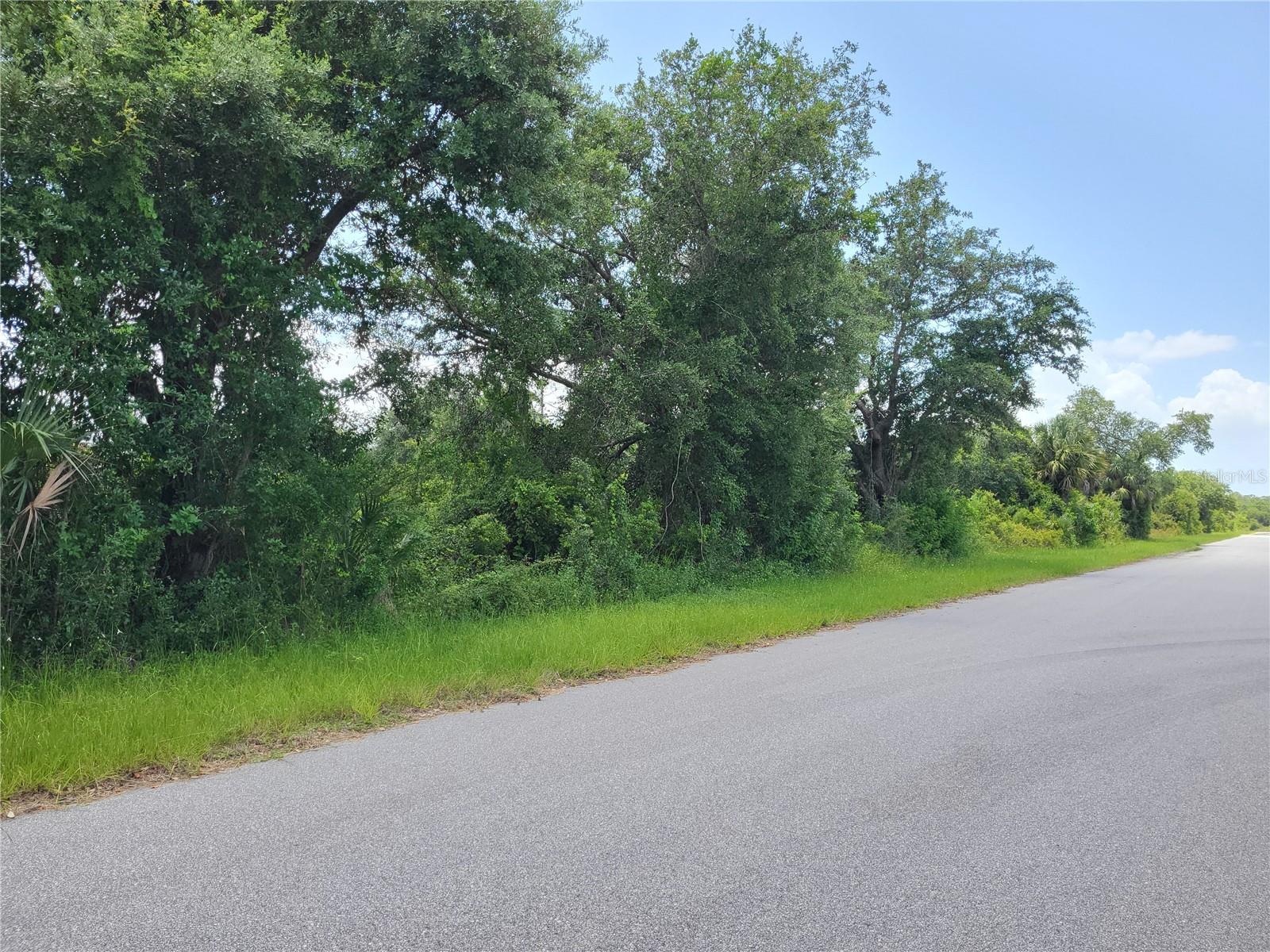 Land at 14471 CORAL SEA AVE, PORT CHARLOTTE, photo 4 of 12