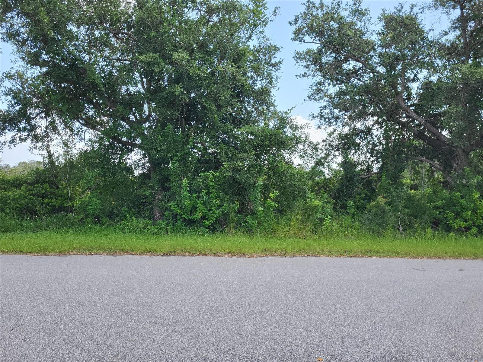Land at 14471 CORAL SEA AVE, PORT CHARLOTTE, photo 5 of 12