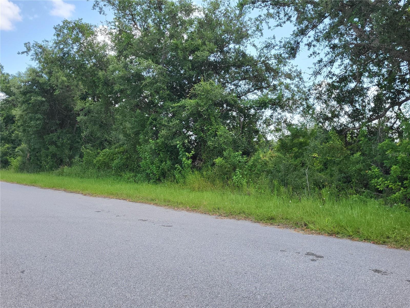 Land at 14471 CORAL SEA AVE, PORT CHARLOTTE, photo 6 of 12