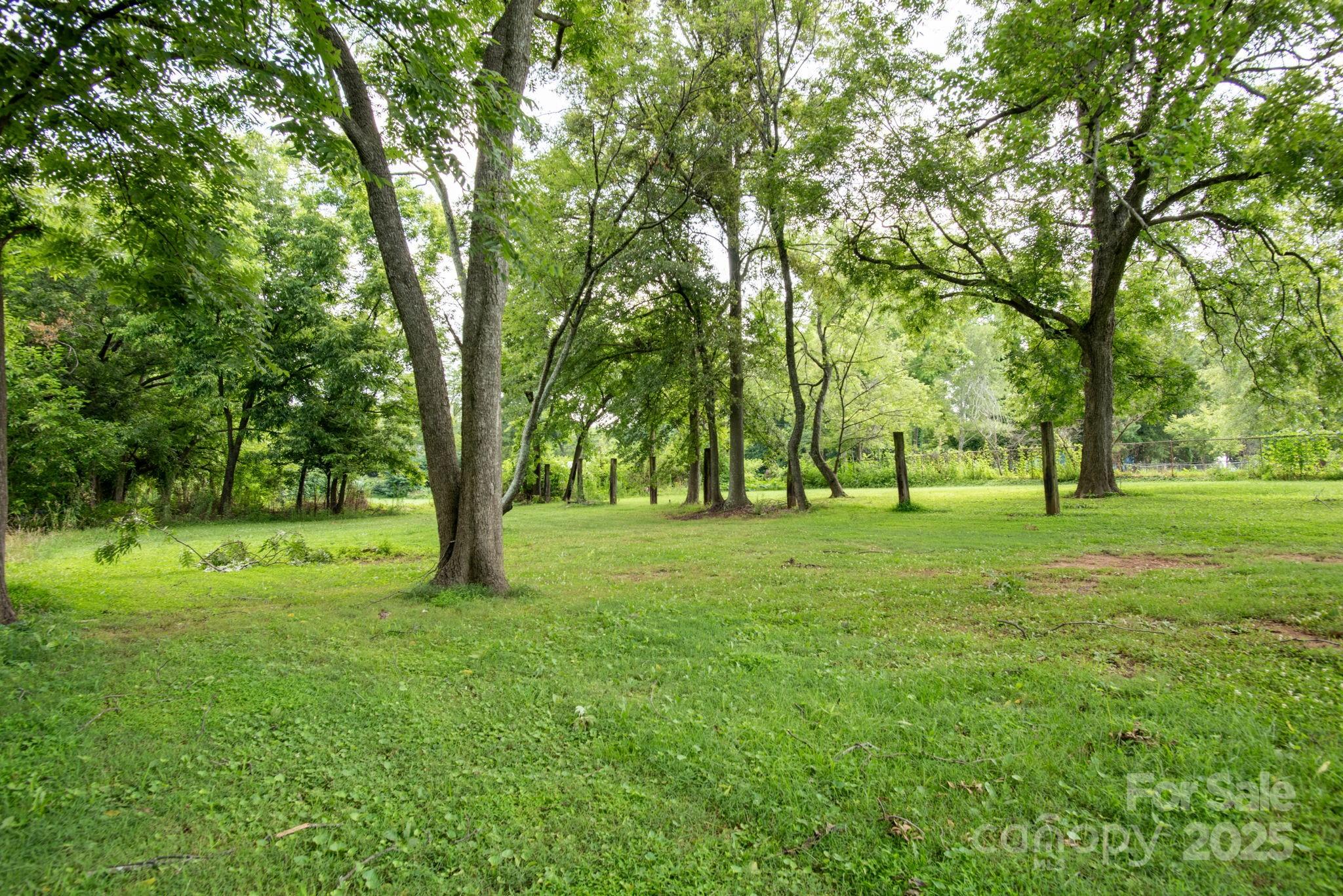 Backyard of Walker St homes looking towards 1.2 ac vacant lot - 605 N Piedmont Avenue, Kings Mountain