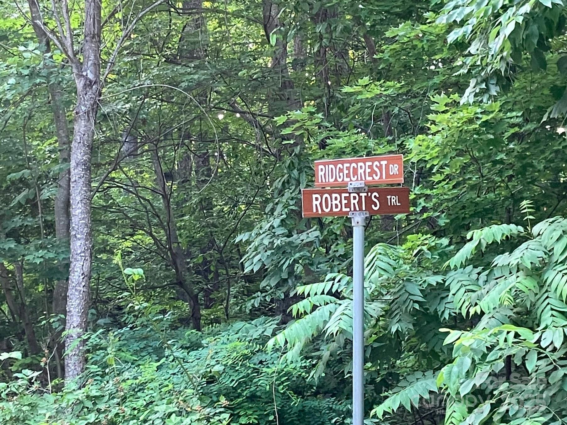 Lot at 00 Roberts Trail, Lake Lure, photo 4 of 5