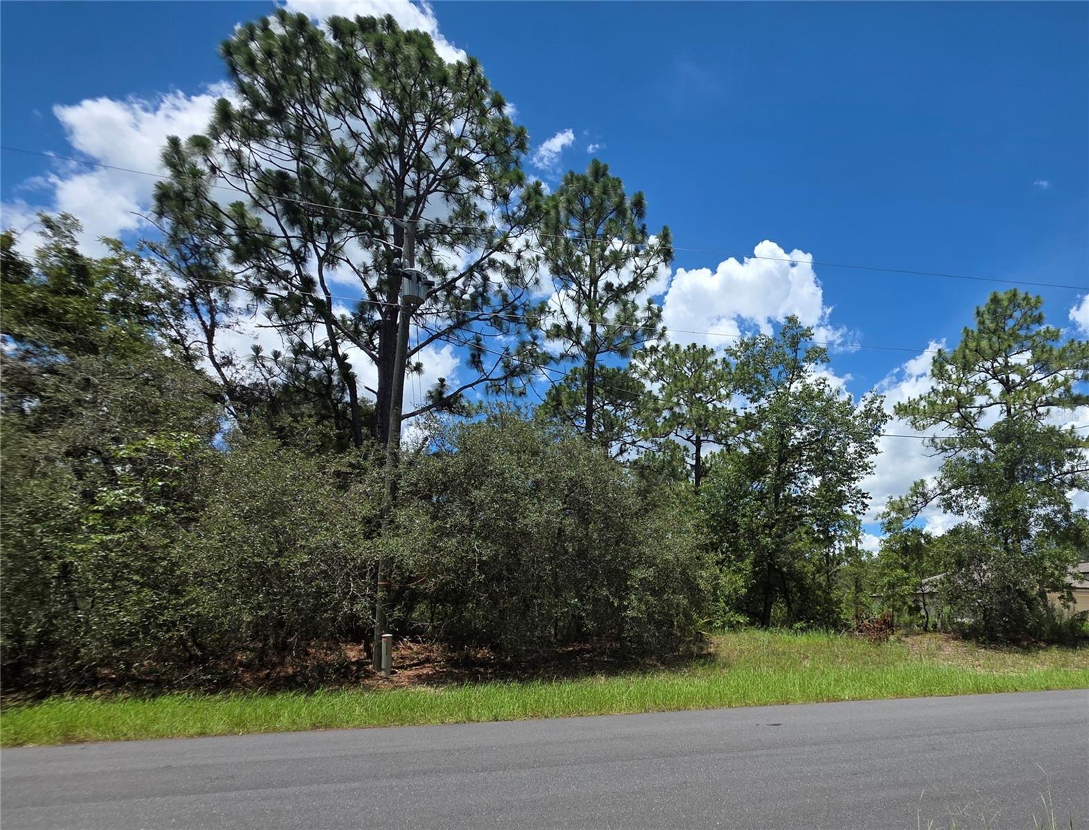 Left side View - Land, OCALA