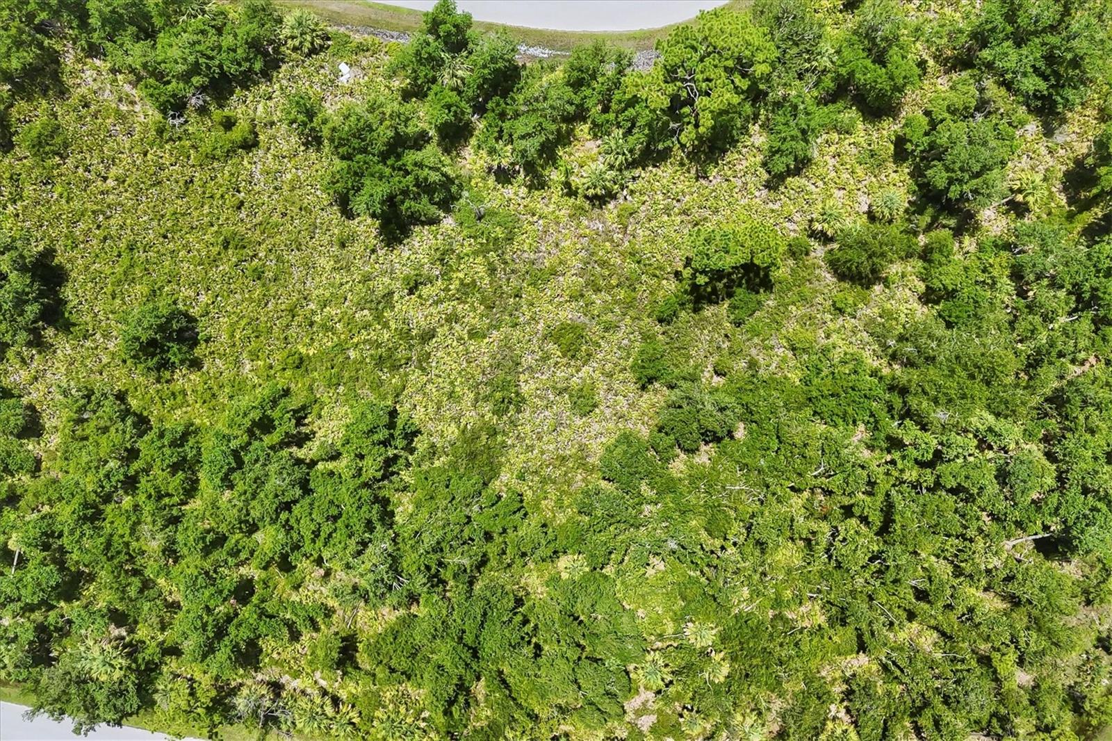 Arial View - 1553 & 1561 FRISCO TER, PORT CHARLOTTE
