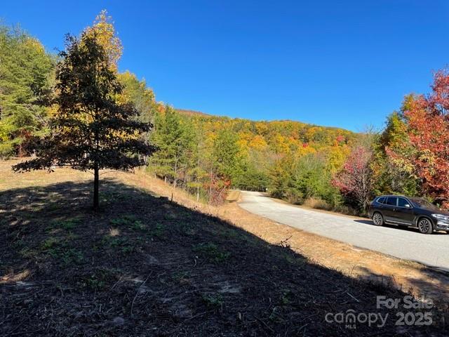 Single Family Residence at 00 Birkdale Drive, Mill Spring, photo 16 of 22