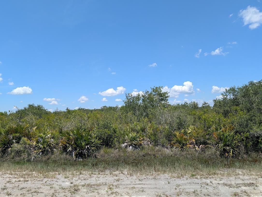SARASOTA DR