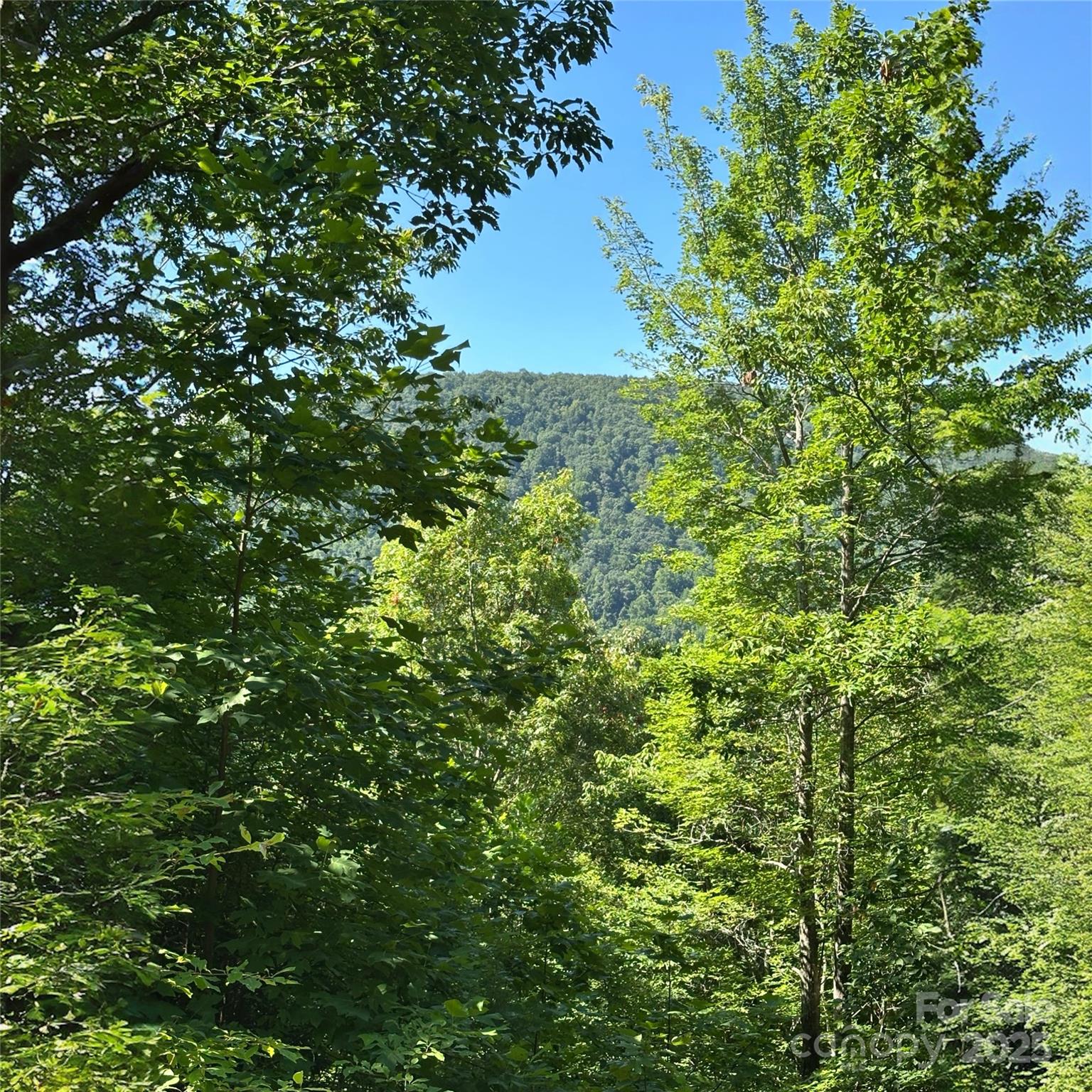 Lot at 33 Nuthatch Lane, Black Mountain, photo 2 of 9
