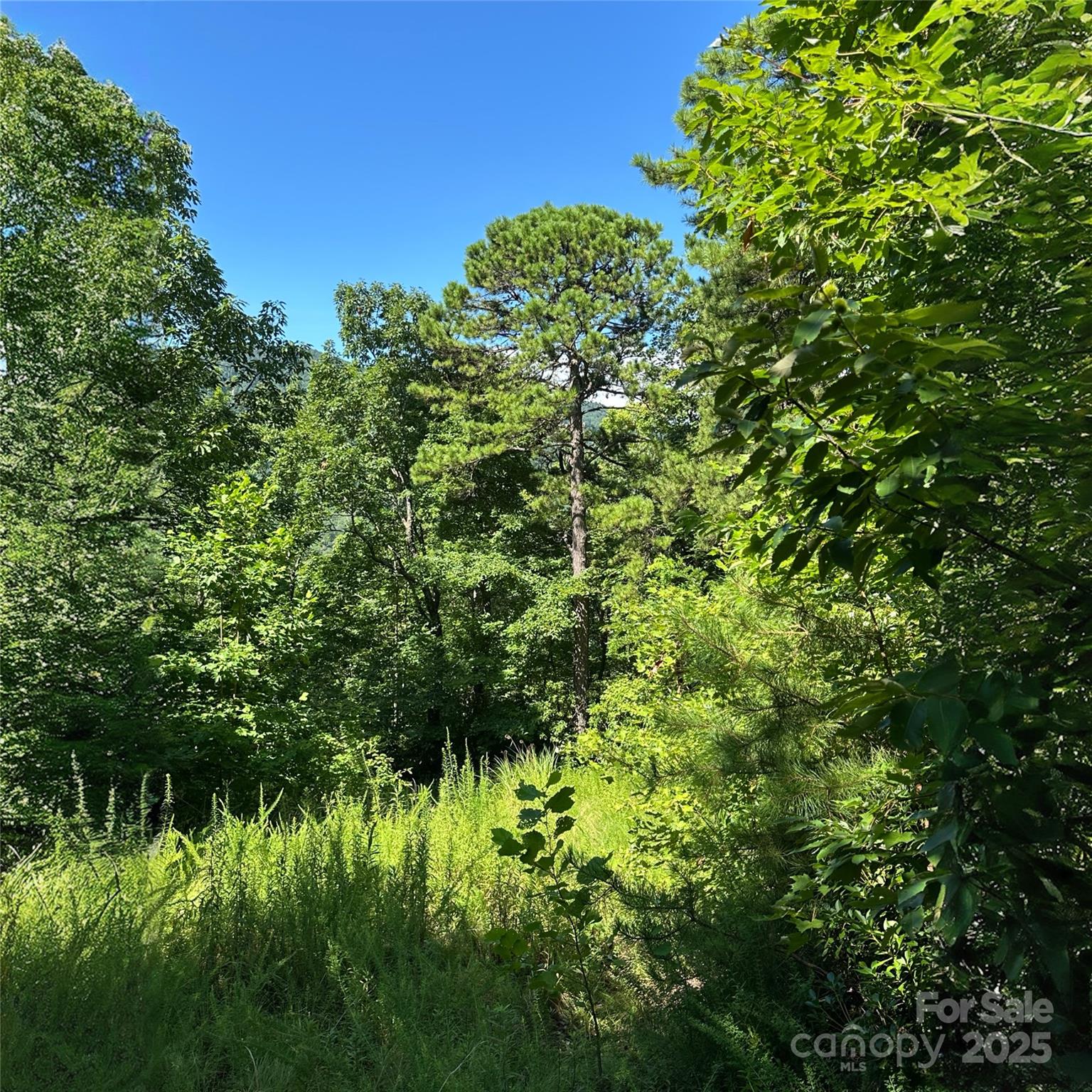 Lot at 33 Nuthatch Lane, Black Mountain, photo 5 of 9