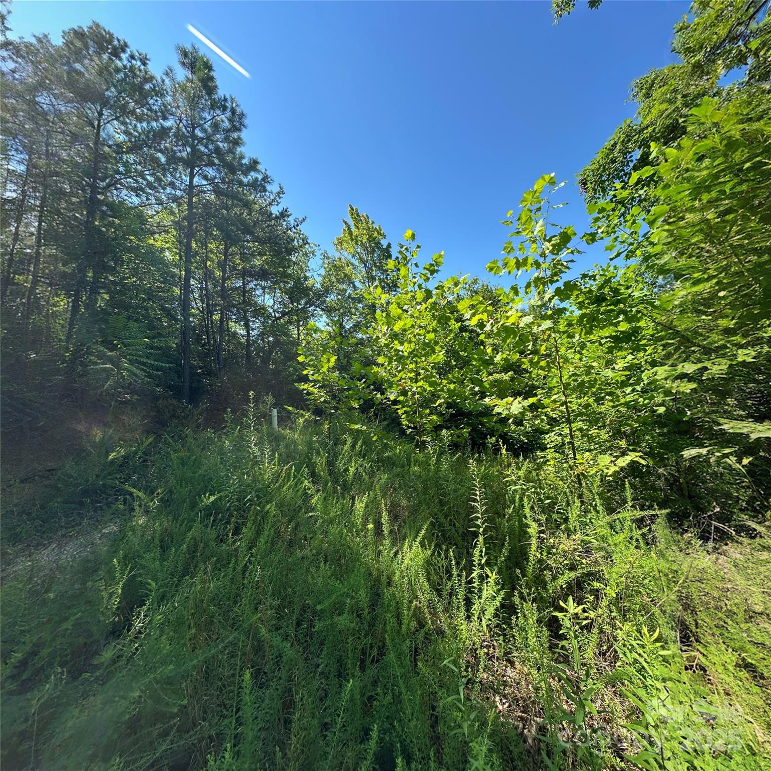 Lot at 33 Nuthatch Lane, Black Mountain, photo 6 of 9