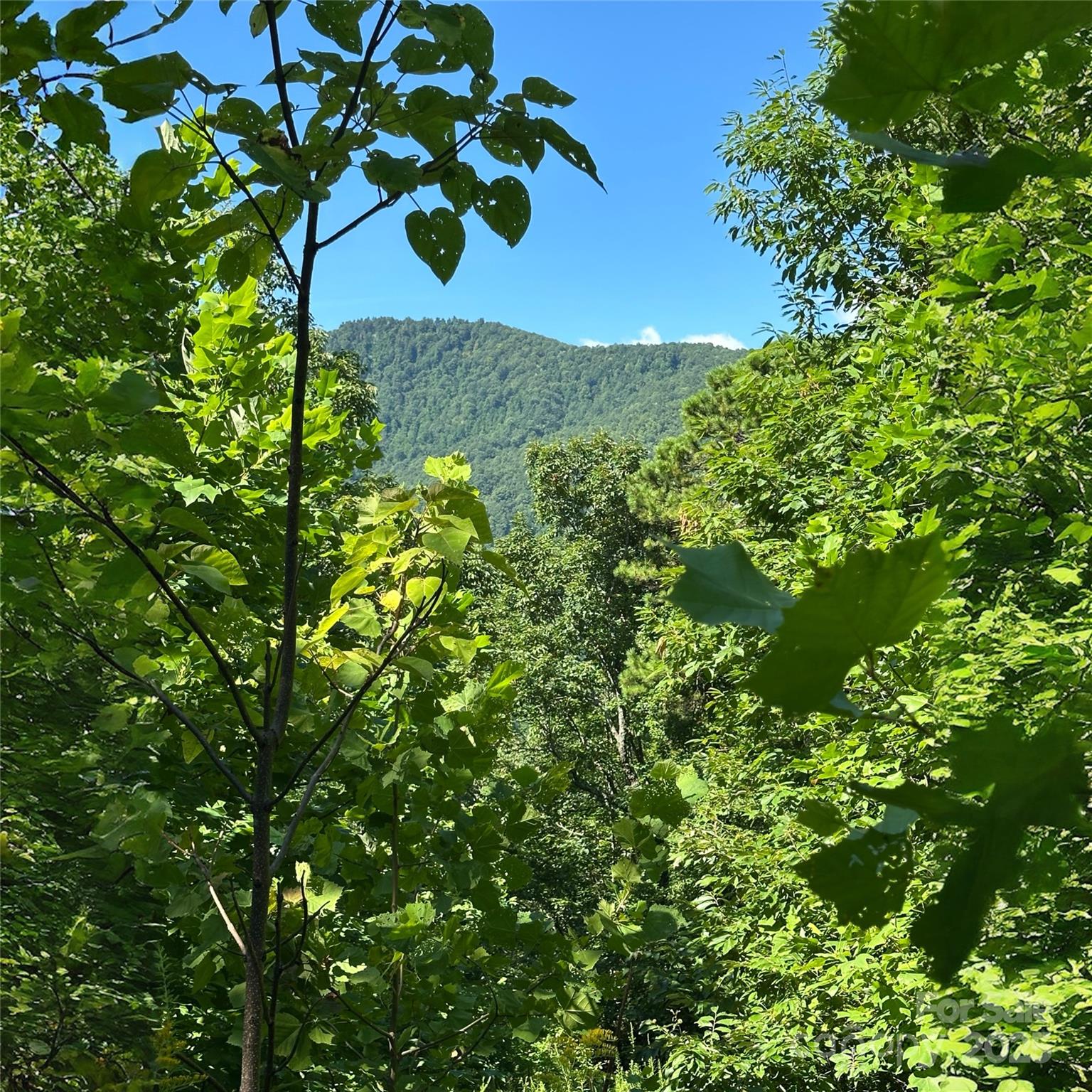 Lot at 33 Nuthatch Lane, Black Mountain, photo 7 of 9