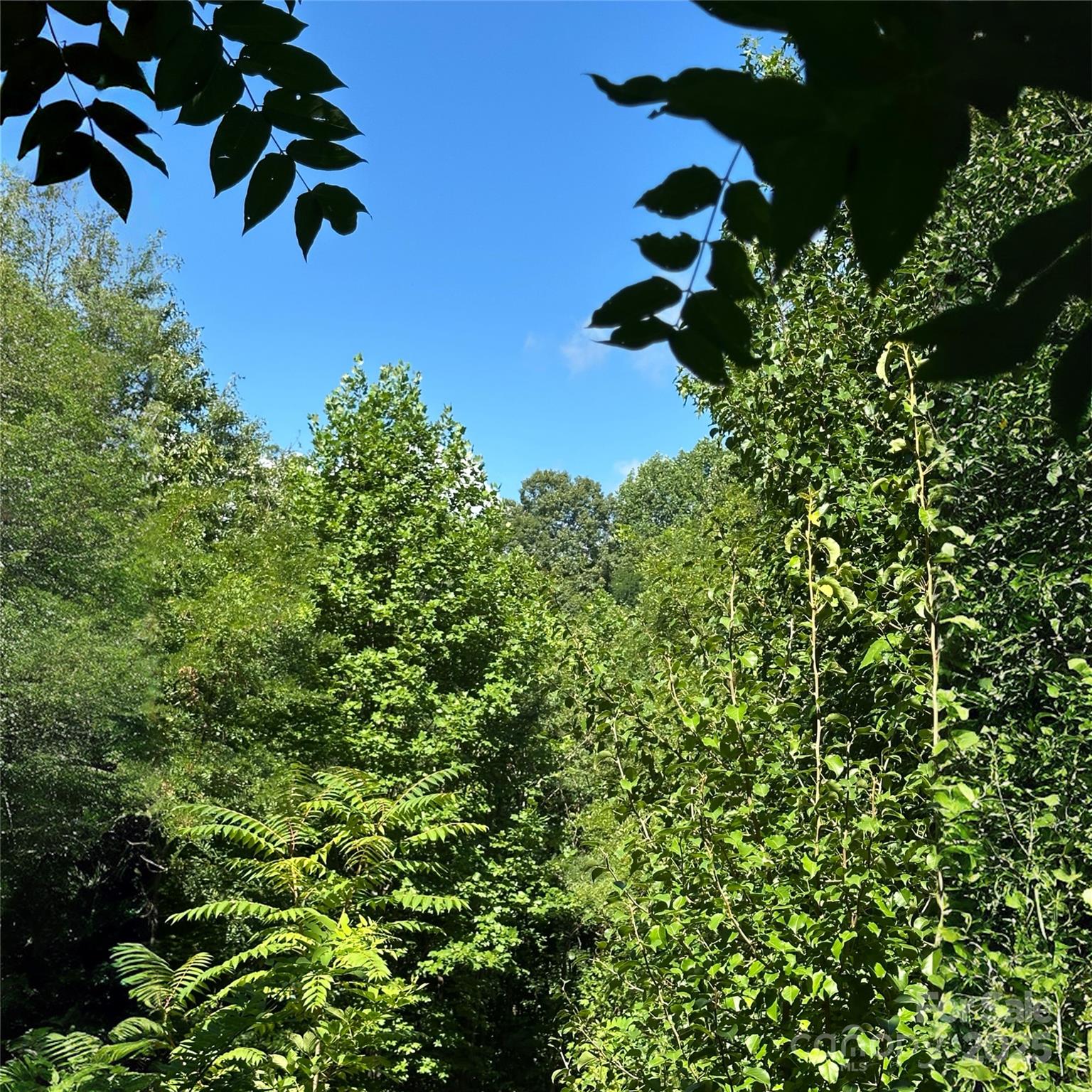 Lot at 33 Nuthatch Lane, Black Mountain, photo 9 of 9