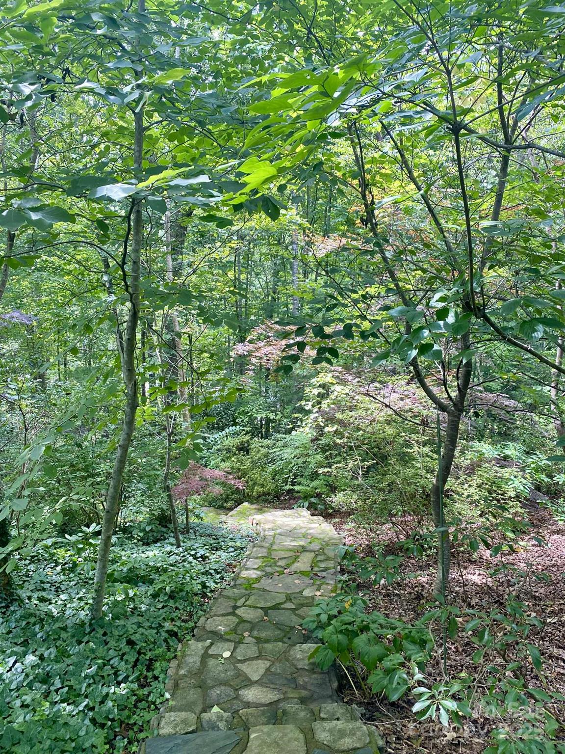Pathway leading to office building. - 163 Gypsy Mountain Road, Marion