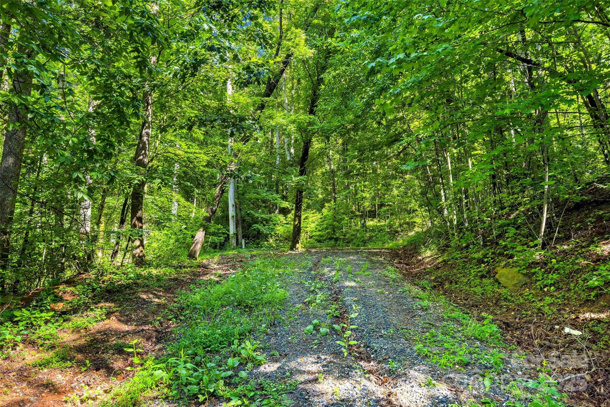 Lot at Lot #76 Hunnicut Spur Road, Marion, photo 3 of 28