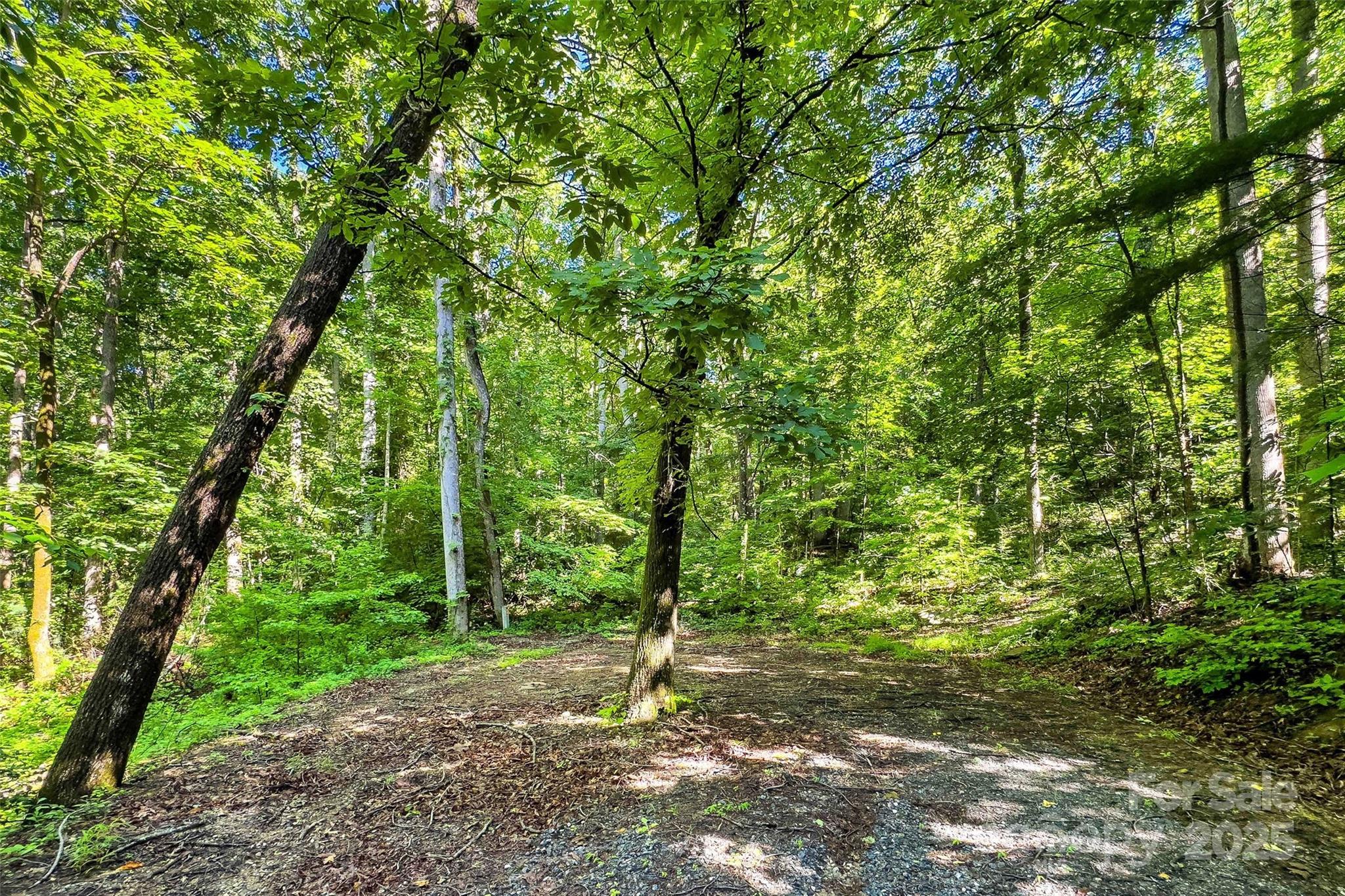 Lot at Lot #76 Hunnicut Spur Road, Marion, photo 4 of 28