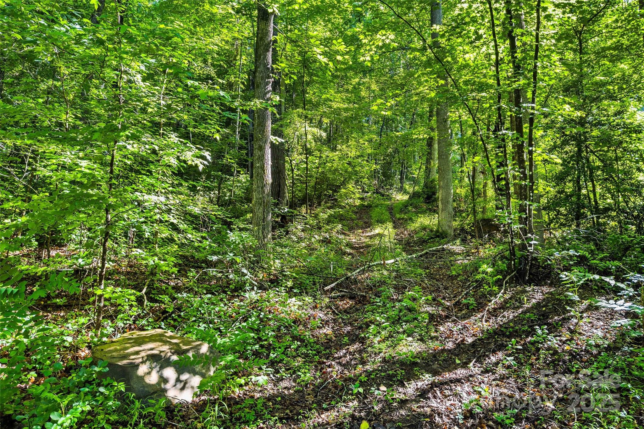 Lot at Lot #76 Hunnicut Spur Road, Marion, photo 8 of 28