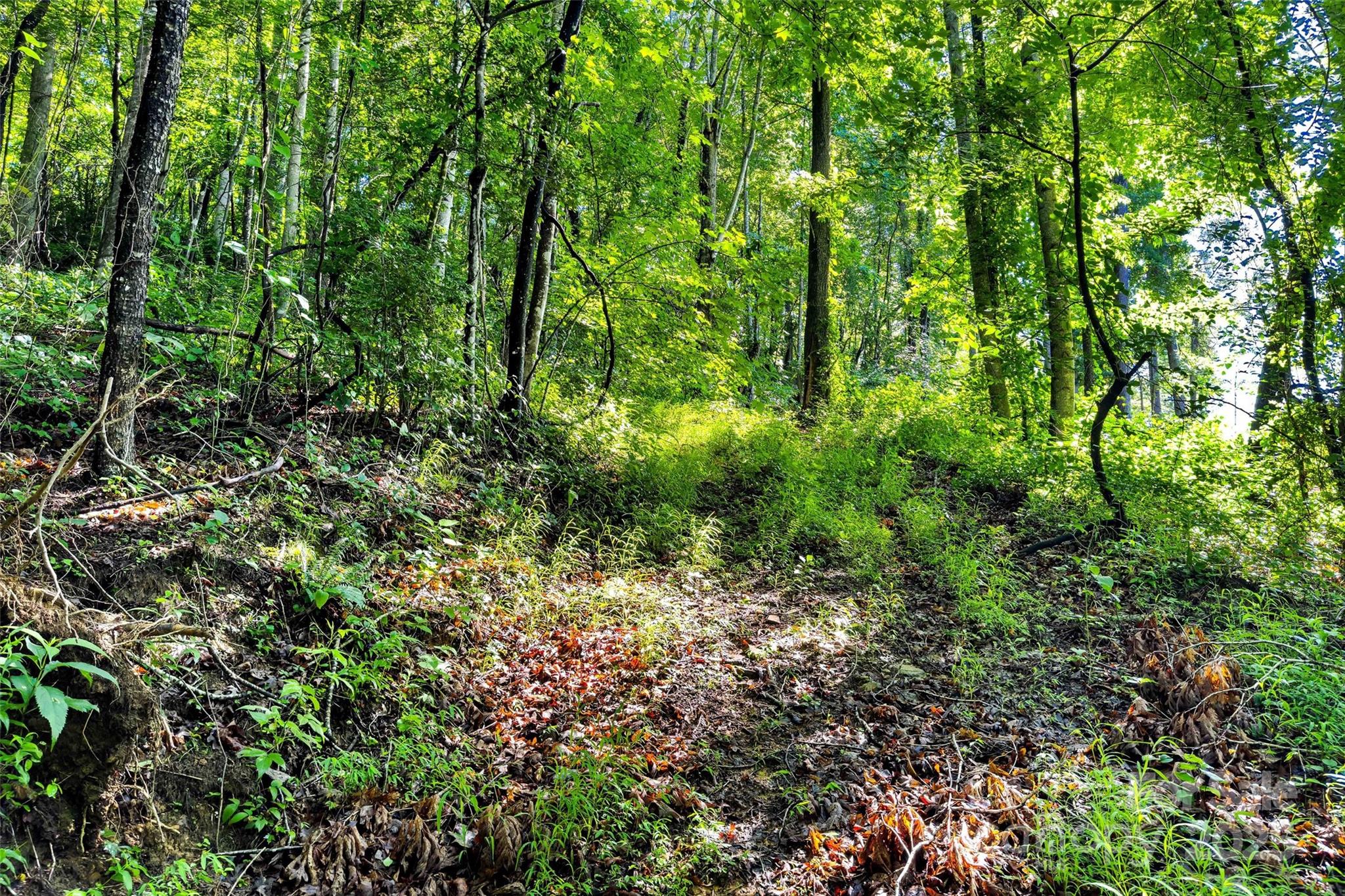 Lot at Lot #76 Hunnicut Spur Road, Marion, photo 10 of 28