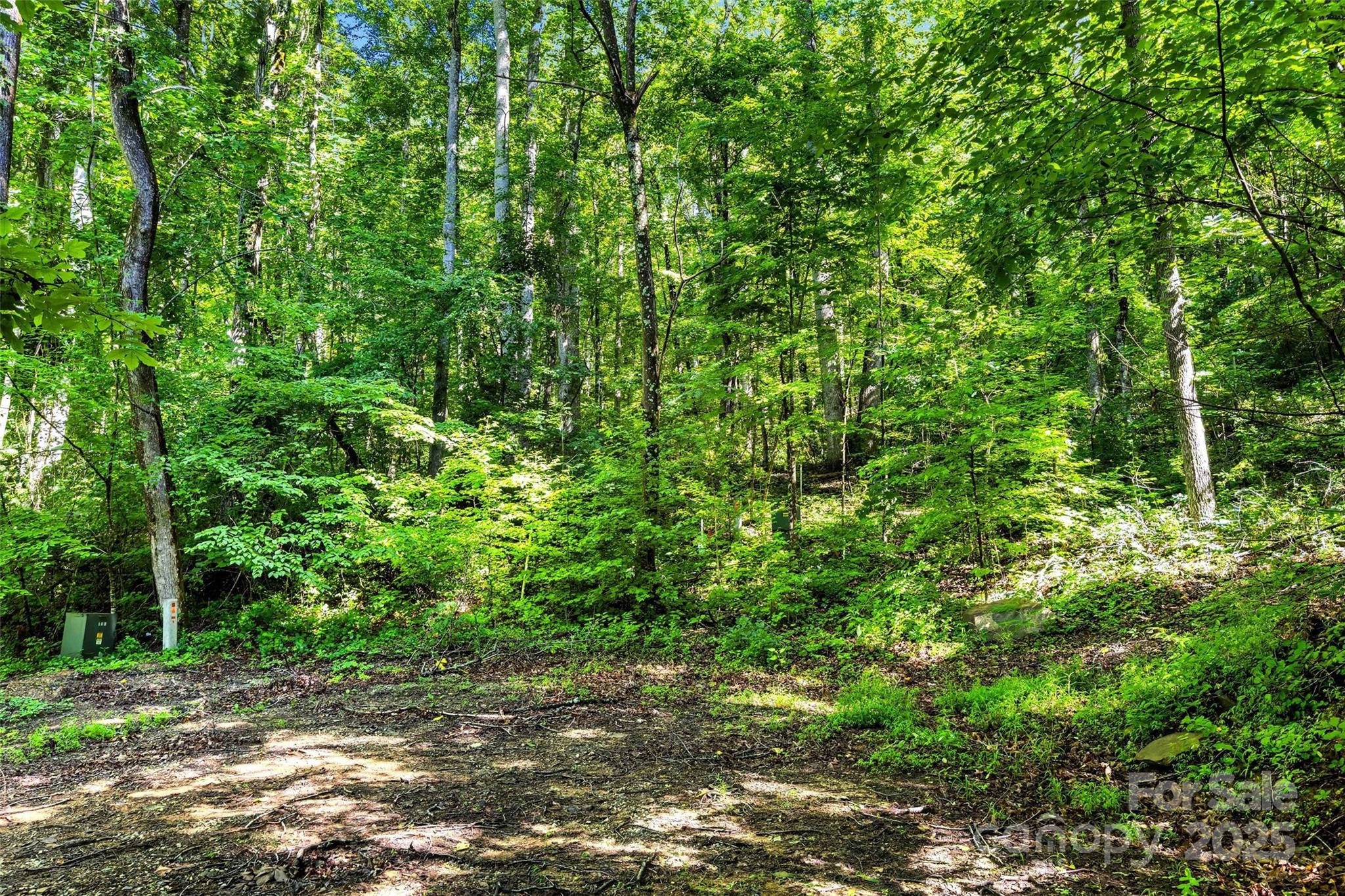 Lot at Lot #76 Hunnicut Spur Road, Marion, photo 12 of 28