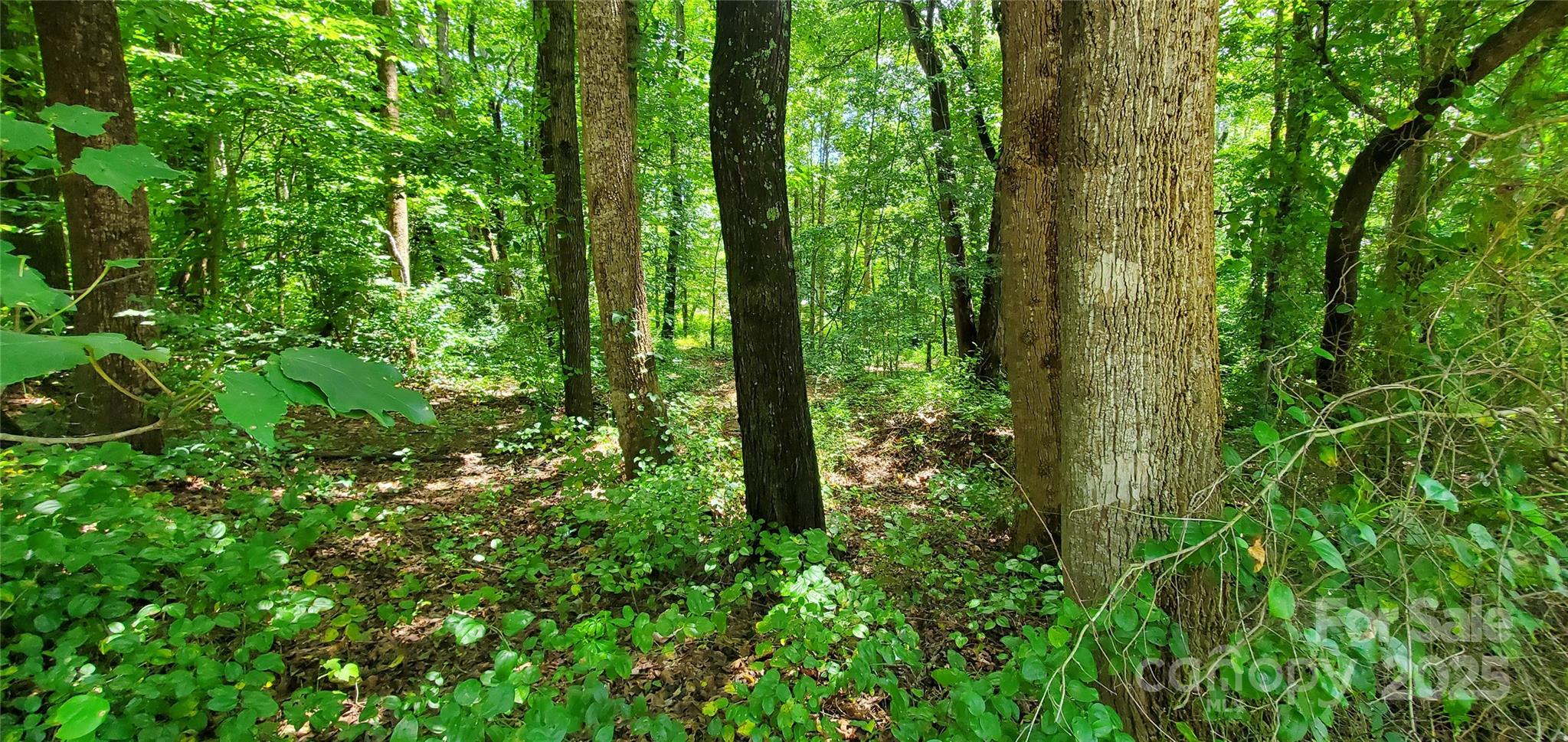 Lot at 3939 US 64 Highway W, Mocksville, photo 2 of 6