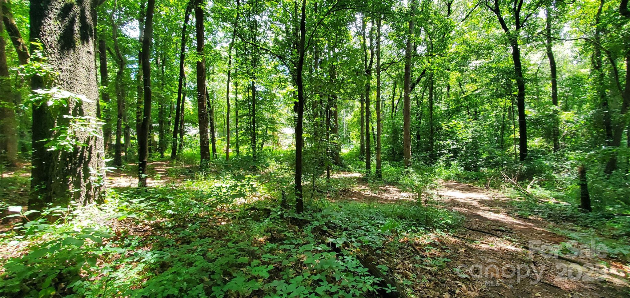 Lot at 3929 US 64 Highway W, Mocksville, photo 3 of 6