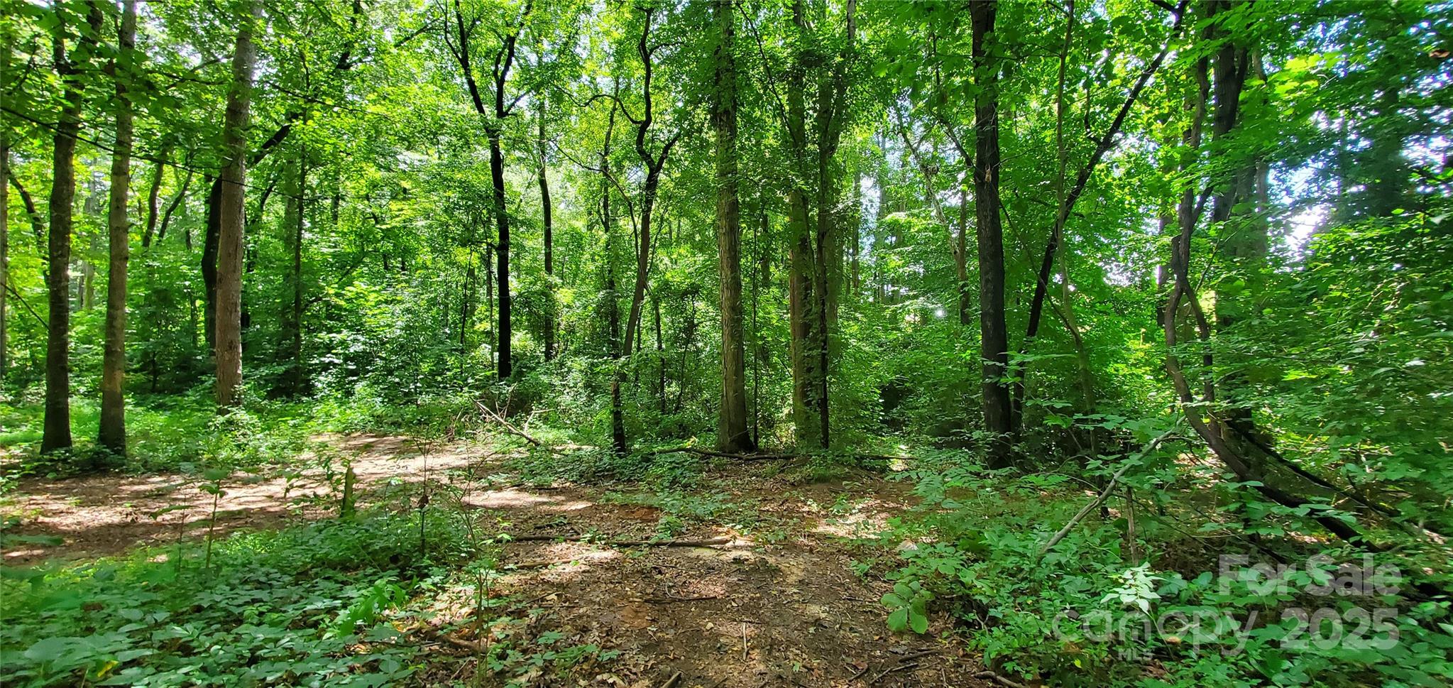 Lot at 3929 US 64 Highway W, Mocksville, photo 4 of 6