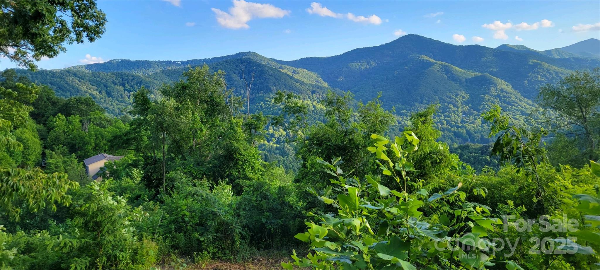 Potential SE View - Pic taken from adjacent lot #28 - 27 Prestige Point, Waynesville