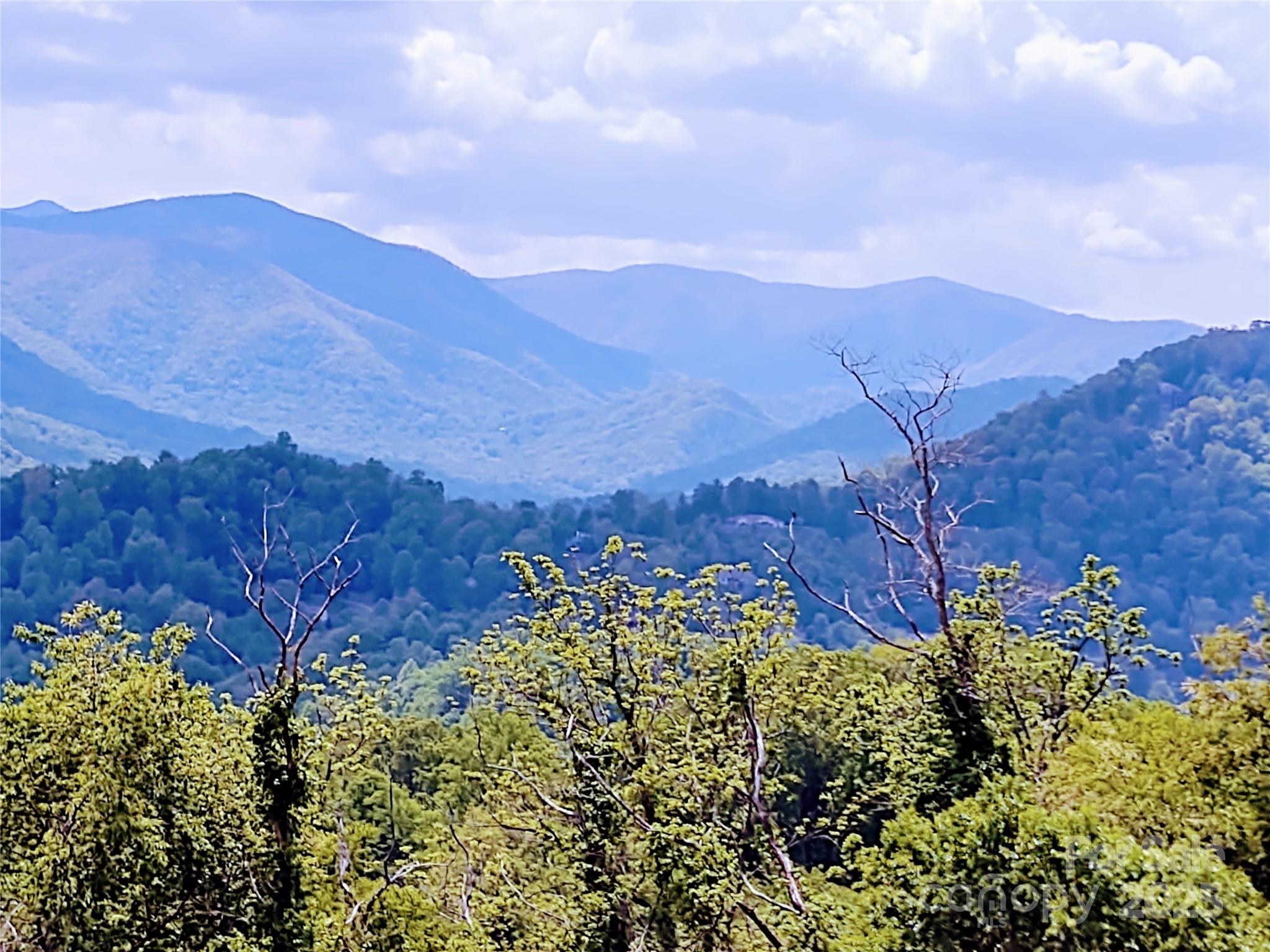 Potential Southern View - pic taken f/adjacent excavated Lot 28 - 27 Prestige Point, Waynesville