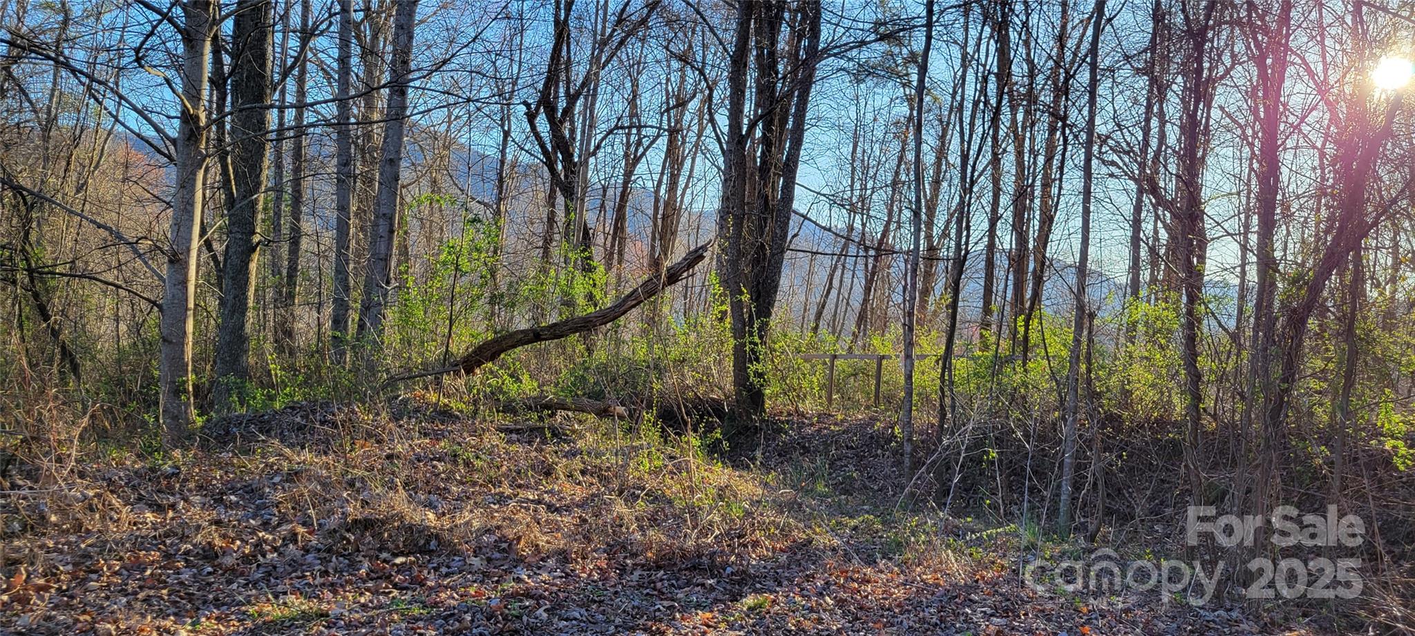 Potential Mtn View from Lot 42 with tree trimming/cutting - 40 Rons Ridge, Waynesville