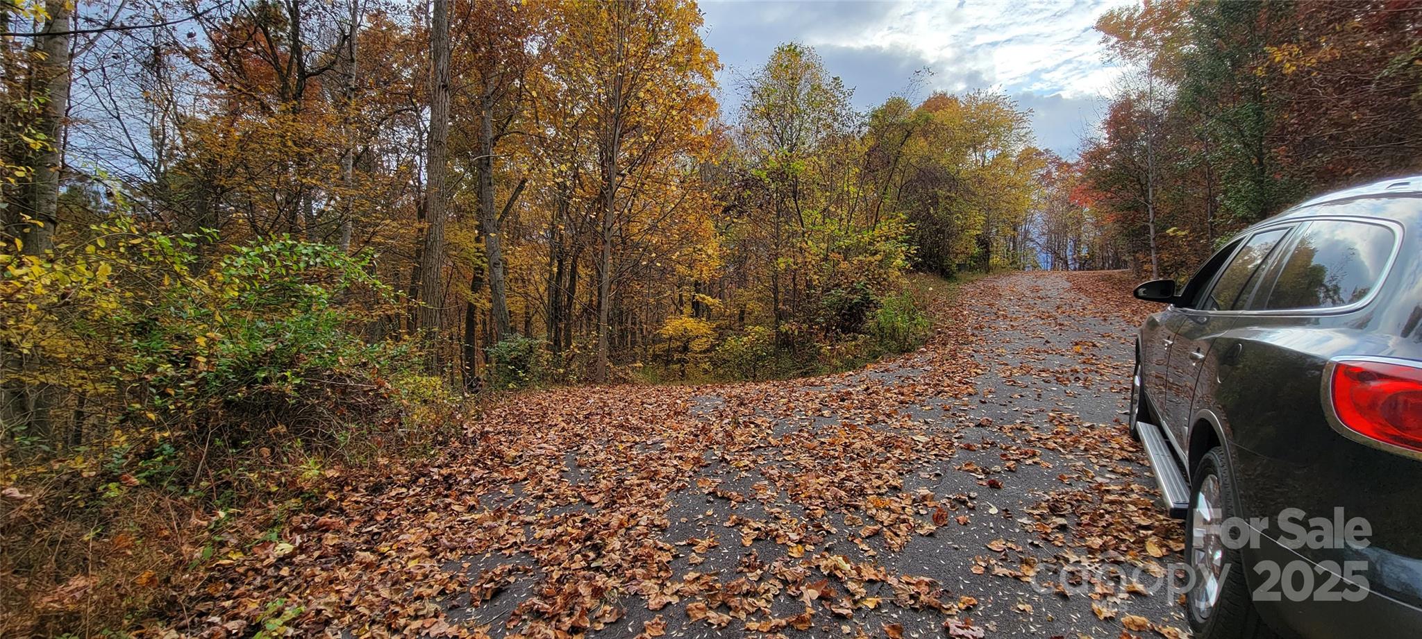 Paved driveway entry that splits Lot 40 & 42 off Rons Ridge Rd - 40 Rons Ridge, Waynesville