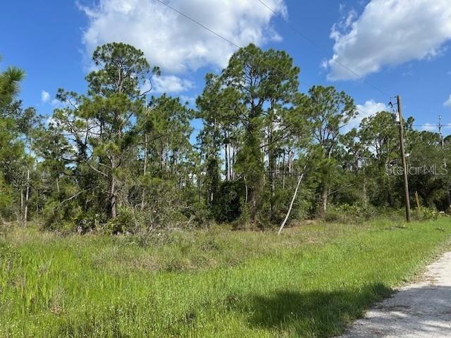 Land at 13036 APACHE DR, PUNTA GORDA, photo 3 of 8