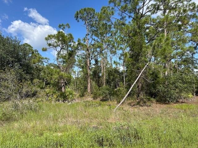 Land at 13036 APACHE DR, PUNTA GORDA, photo 4 of 8