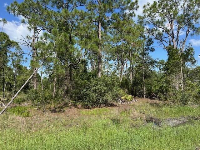 Land at 13036 APACHE DR, PUNTA GORDA, photo 5 of 8