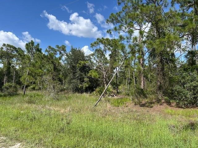 Land at 13036 APACHE DR, PUNTA GORDA, photo 7 of 8