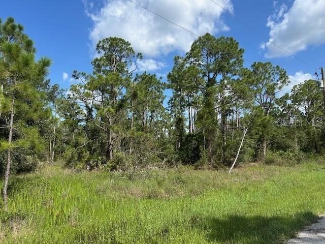 Land at 13042 APACHE DR, PUNTA GORDA, photo 2 of 8