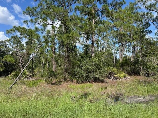 Land at 13042 APACHE DR, PUNTA GORDA, photo 6 of 8