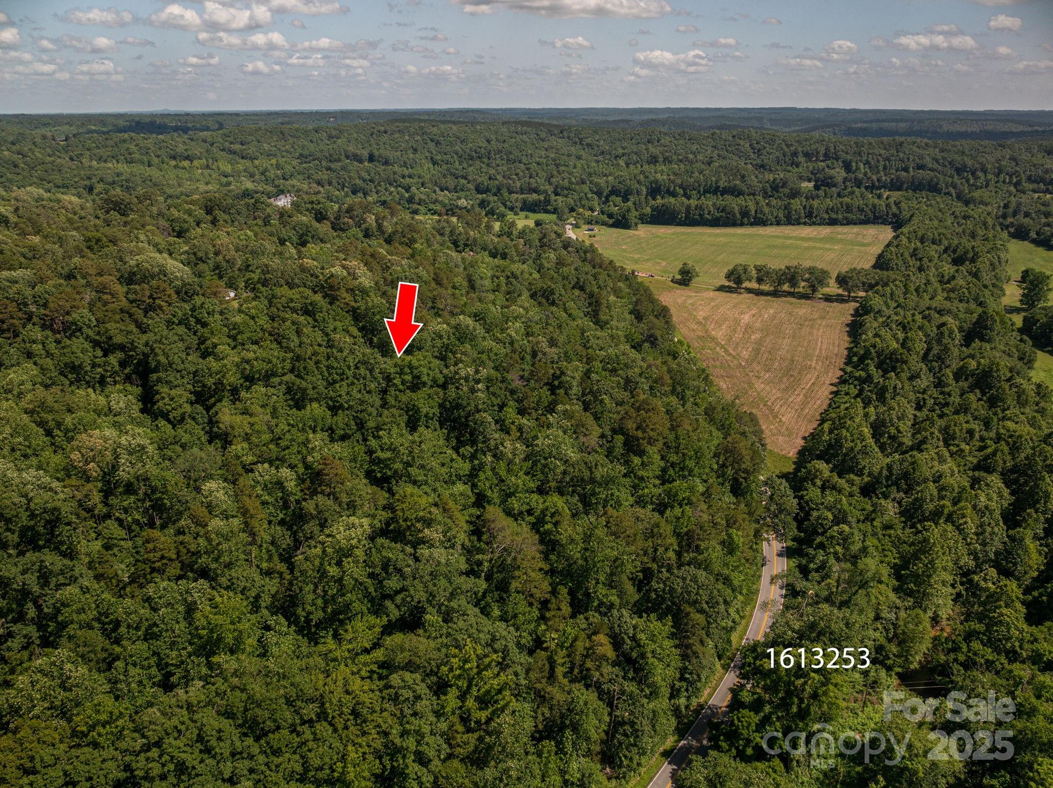 Lot at Lot  165 Plantation Drive, Rutherfordton, photo 4 of 18