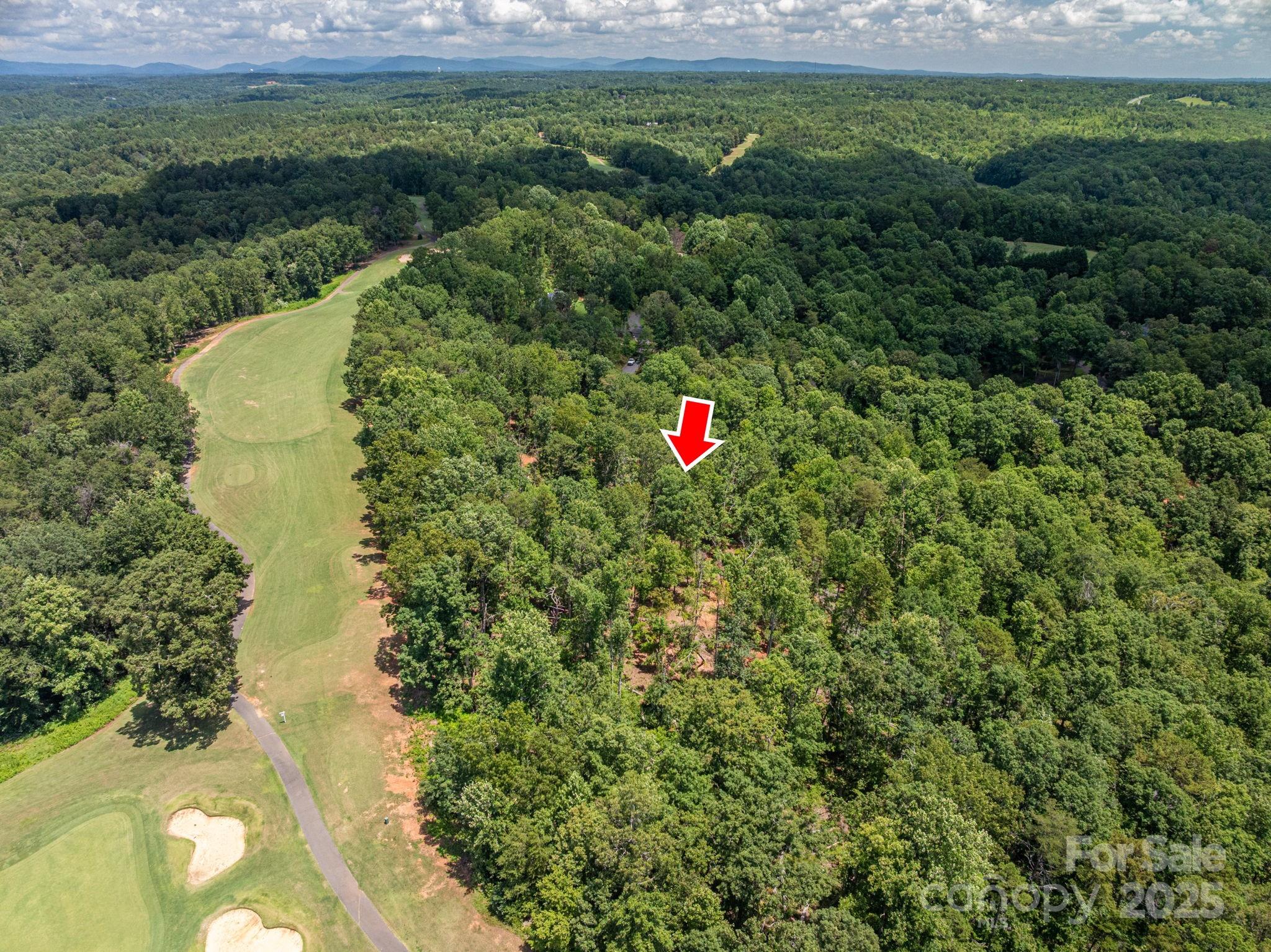 Lot at Lot 191 Plantation Drive, Rutherfordton, photo 4 of 15