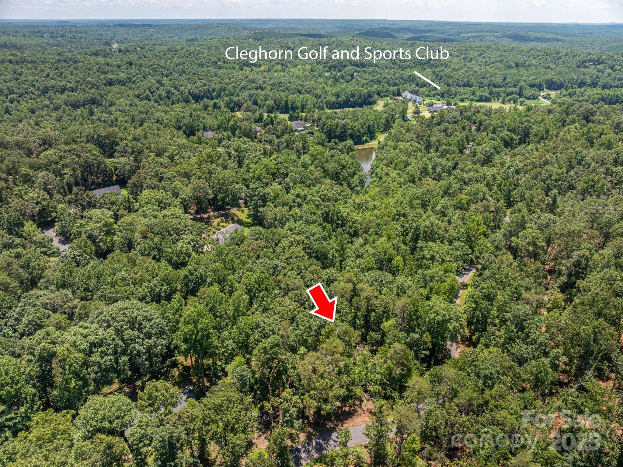 Lot at Lot 131 Plantation Drive, Rutherfordton, photo 2 of 18