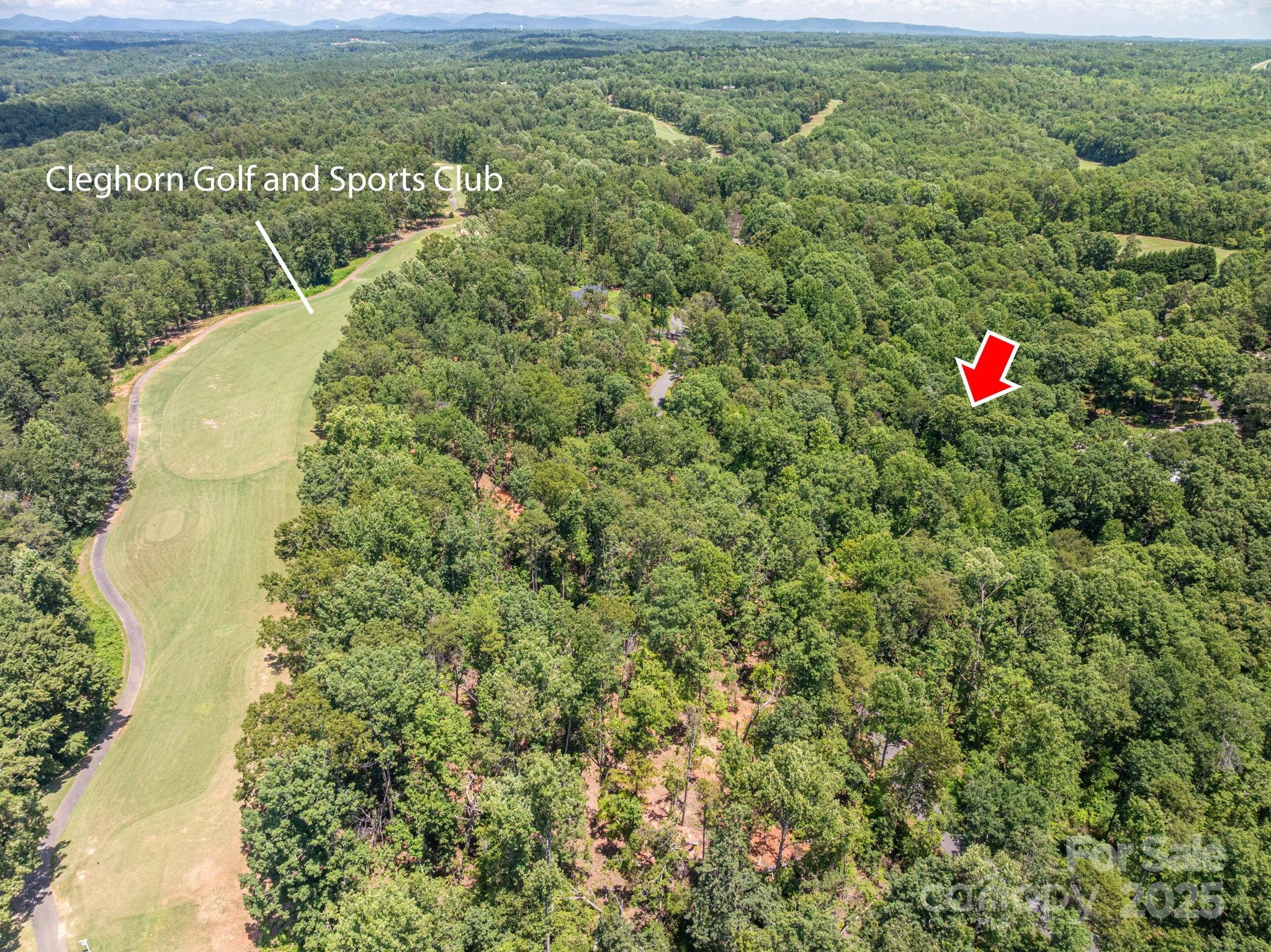 Lot at Lot 132 Plantation Drive, Rutherfordton, photo 4 of 17