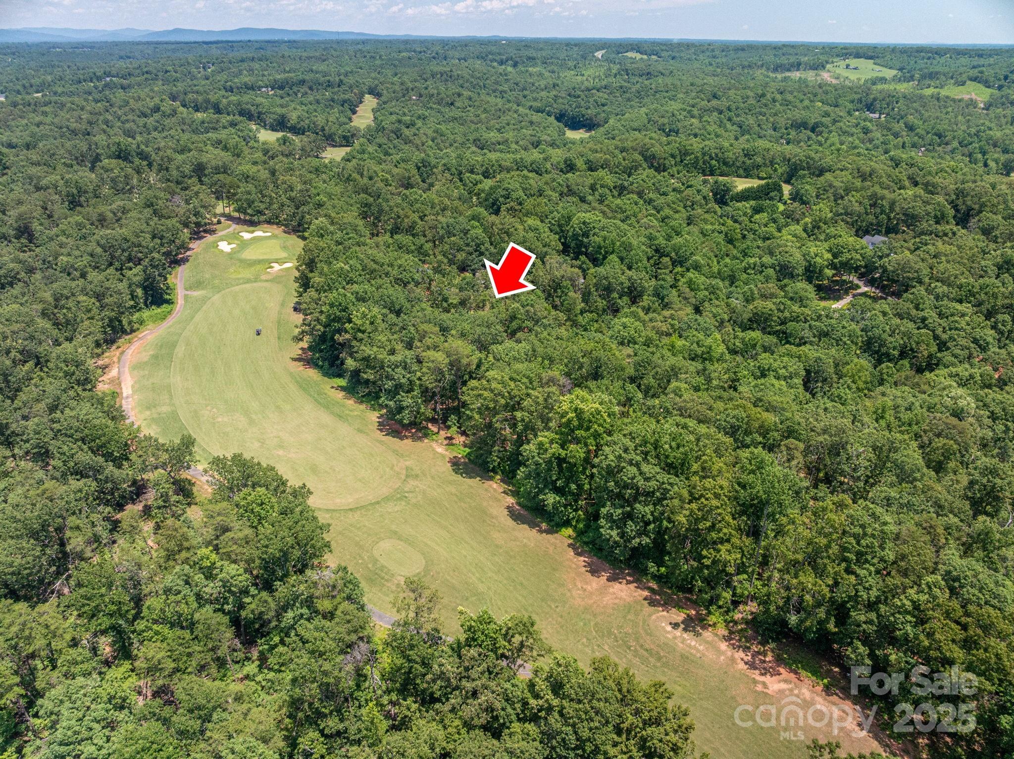 Lot at Lot 193 Plantation Drive, Rutherfordton, photo 2 of 13
