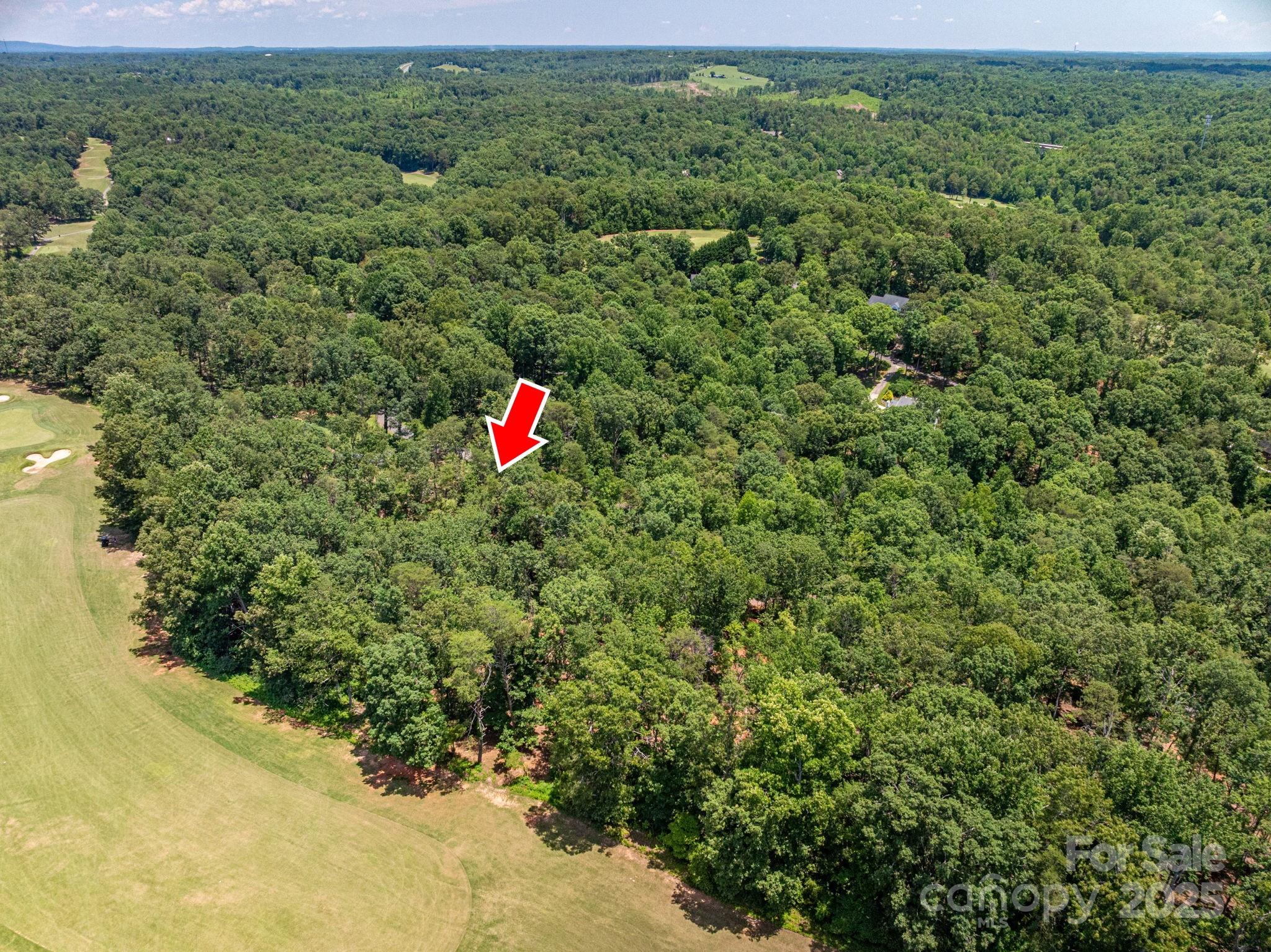 Lot at Lot 193 Plantation Drive, Rutherfordton, photo 4 of 13