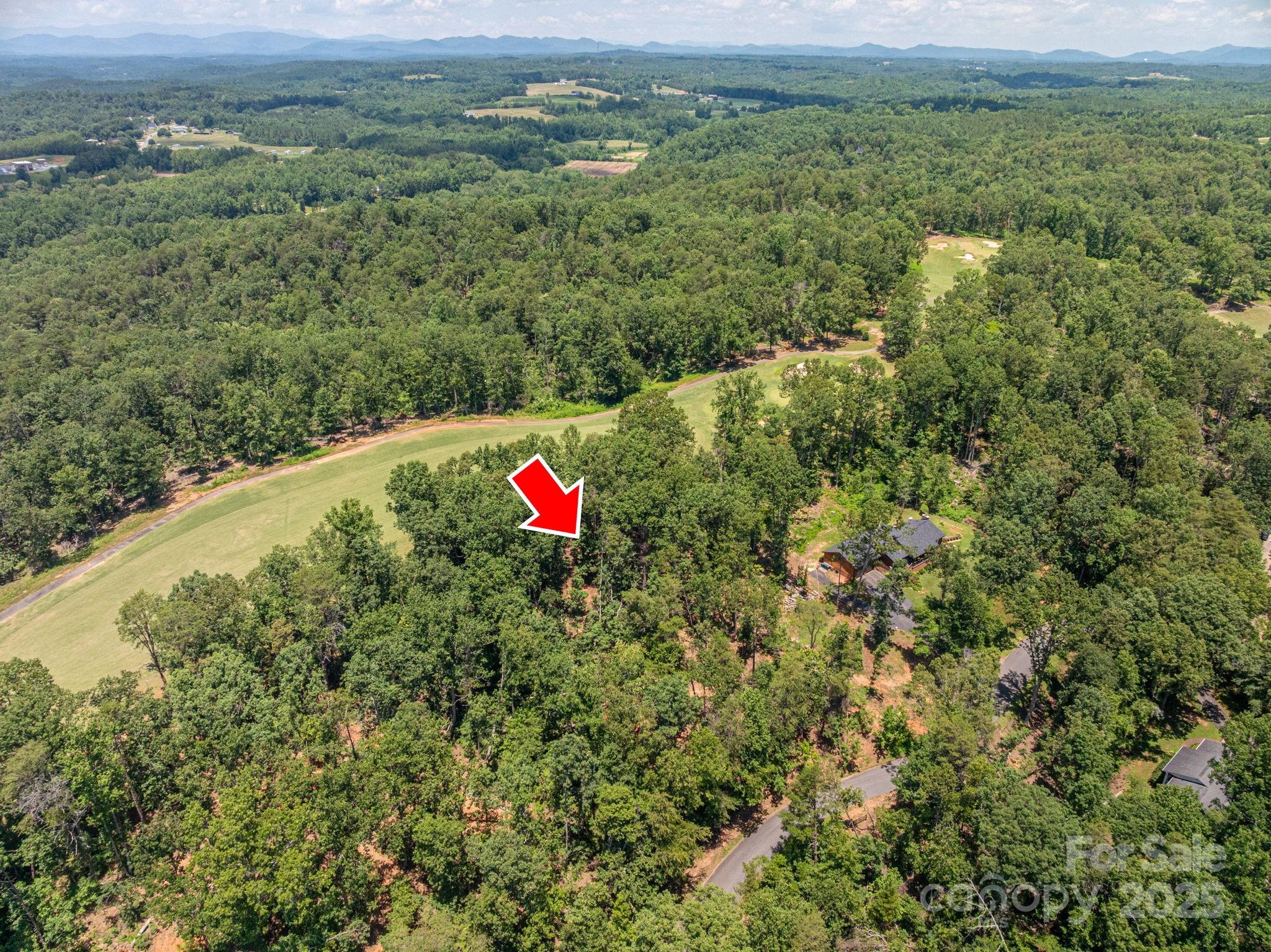 Lot at Lot 209 Plantation Drive, Rutherfordton, photo 2 of 14